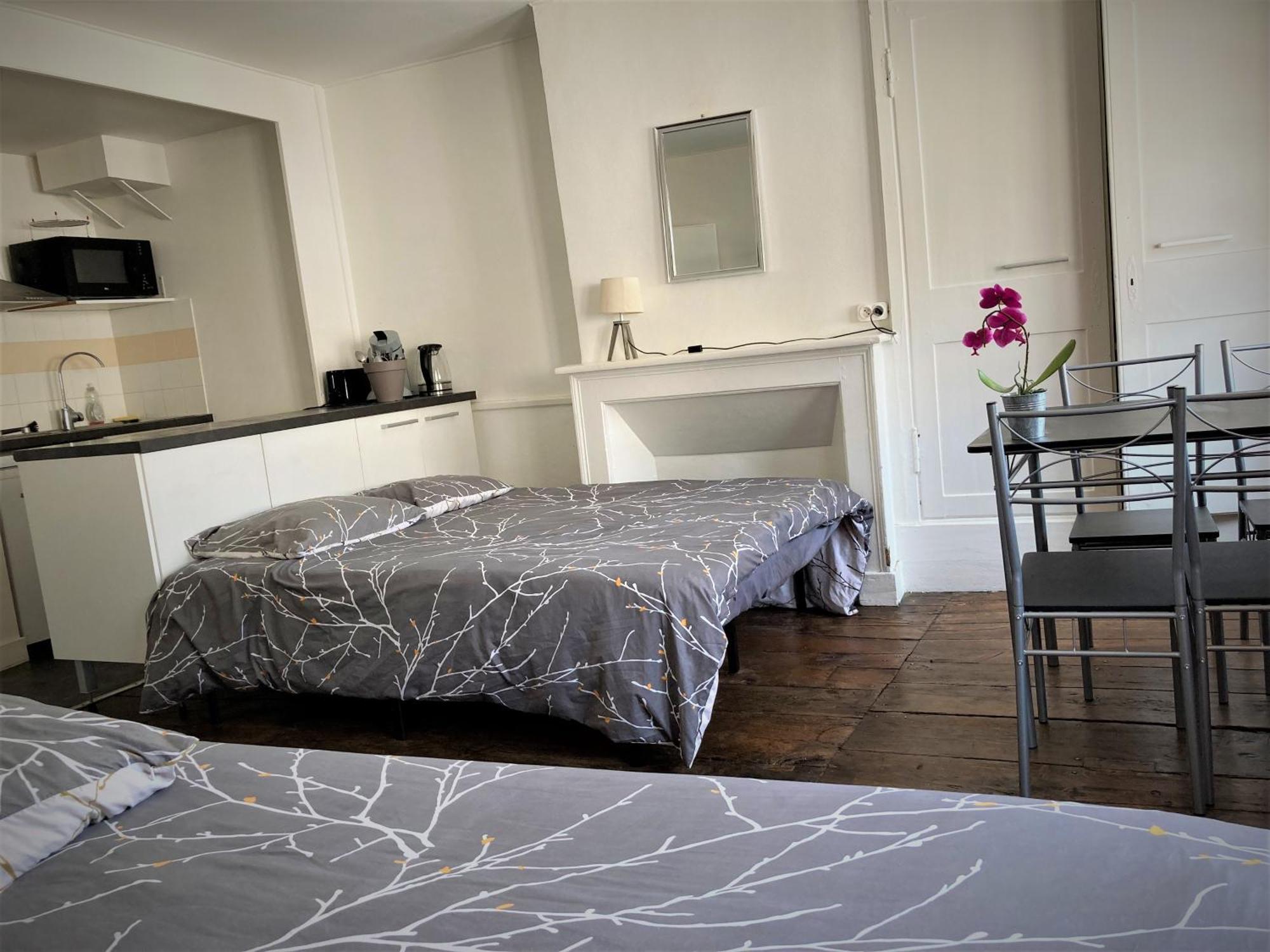 Studio Double 31 Centre De Limoges Wifi Dış mekan fotoğraf