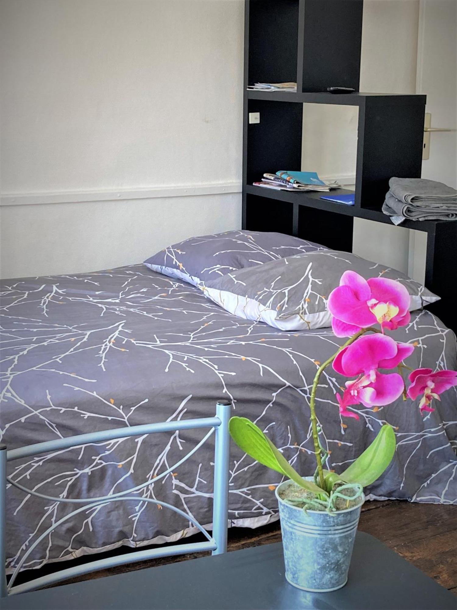 Studio Double 31 Centre De Limoges Wifi Dış mekan fotoğraf